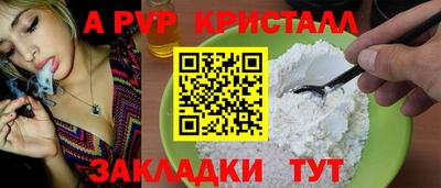 спиды Тула