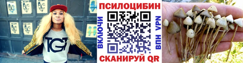 Псилоцибиновые грибы прущие грибы Ставрополь