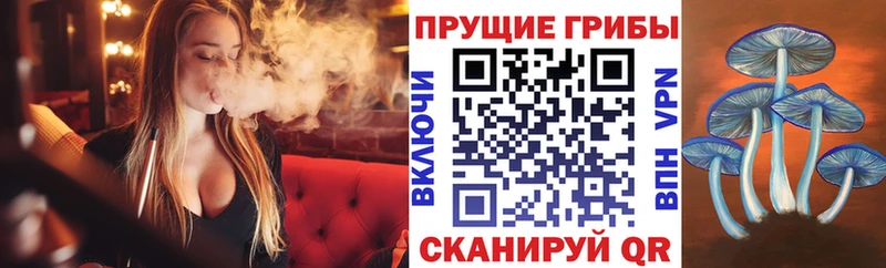 где купить наркоту  Ставрополь  Галлюциногенные грибы мухоморы 