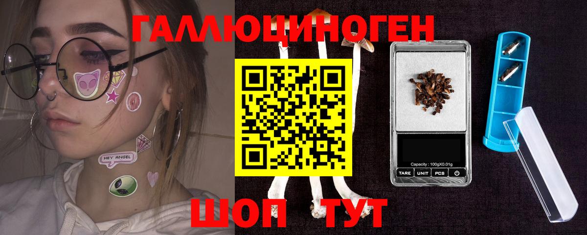 Псилоцибиновые грибы прущие грибы  Вход с VPN  Ставрополь  Псилоцибиновые грибы Psilocybine cubensis 