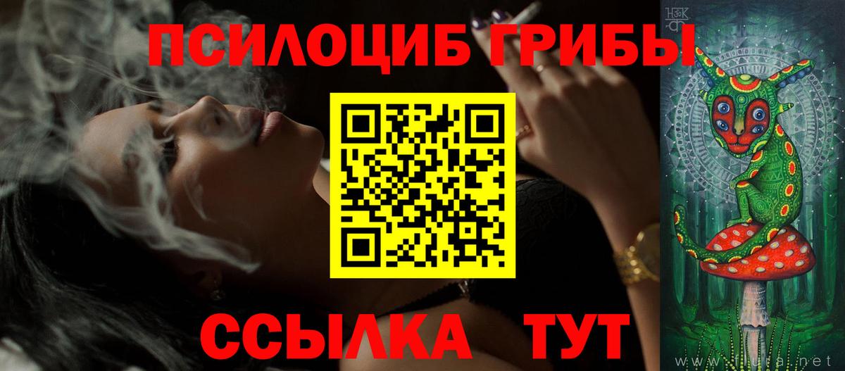 Псилоцибиновые грибы мицелий Ставрополь